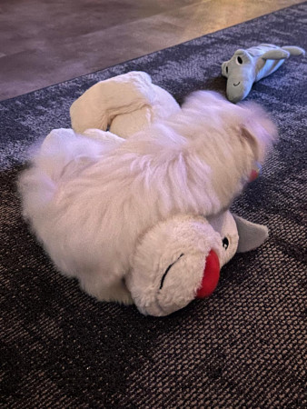 26-9-25 Thuis ♥♥♥